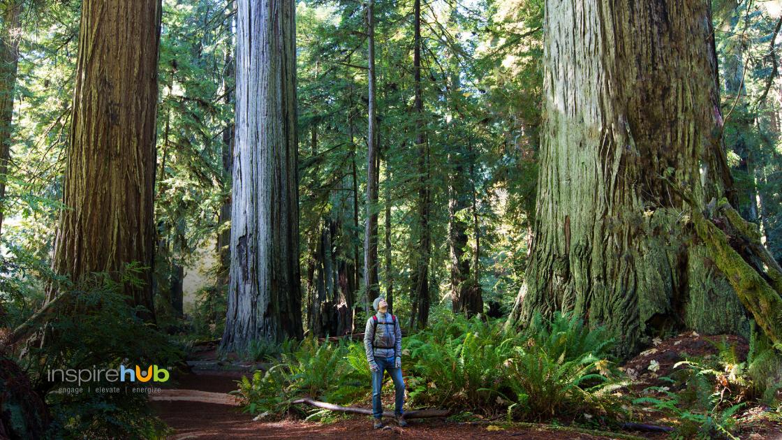 Nature shows us that from a season of destruction comes tremendous growth. | Lead with Hart